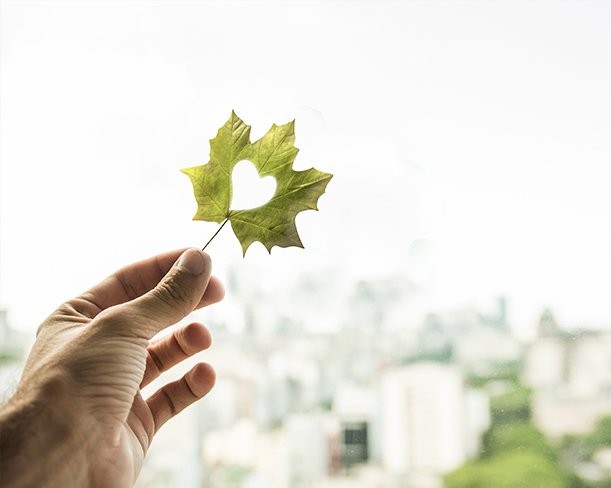 Are Air Conditioners Becoming More Eco-Friendly?
